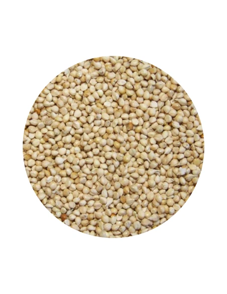 Semilla de mijo blanco JARAD 5 kg